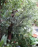 IMG_3368-003.webp