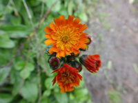 P1220279.webp