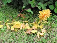 2015_04_22J&B (47)v.webp