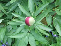 011.webp
