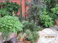 IMG_4558.webp
