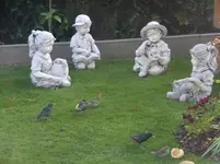 DSCF9411.webp