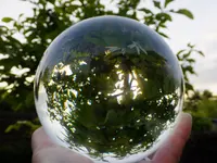DSCF9427.webp