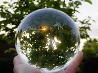 DSCF9428.webp