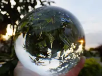 DSCF9436.webp