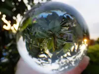 DSCF9438.webp