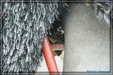 comp_DSC03507.webp