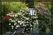 comp_DSC03510.webp