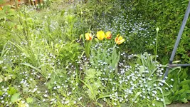 DSCF1718.webp