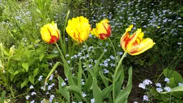 DSCF1719.webp