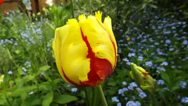 DSCF1720.webp