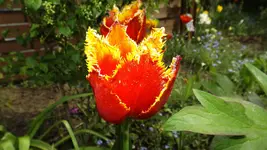 DSCF1723.webp