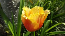 DSCF1739.webp