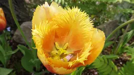 DSCF1740.webp