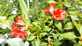 DSCF1721.webp