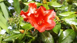 DSCF1722.webp