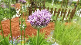 DSCF1724.webp