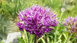 DSCF1733.webp