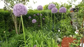 DSCF1798.webp