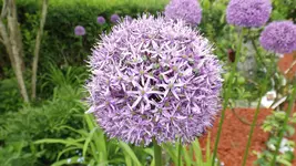 DSCF1799.webp