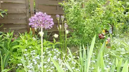 DSCF1801.webp