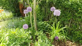DSCF1805.webp
