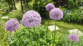 DSCF1806.webp