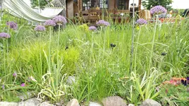 DSCF1813.webp