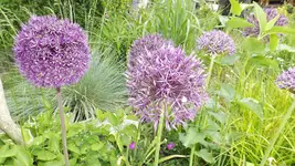 DSCF1814.webp