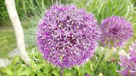 DSCF1816.webp