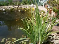 P5220162.webp