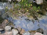 P5220169.webp