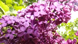 DSCF1748.webp