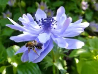 DSCF9221.webp