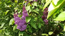 DSCF1757.webp