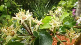 DSCF1726.webp
