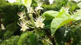 DSCF1727.webp