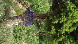 DSCF1717.webp