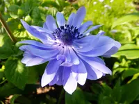 DSCF9210.webp