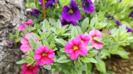 DSCF1808.webp