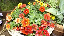 DSCF1809.webp