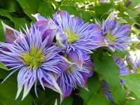 DSCF9216.webp