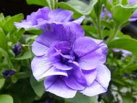 DSCF9292.webp
