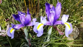 DSCF1790.webp