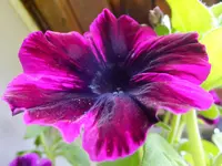 DSCF9307.webp