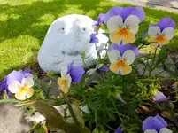 DSCF9313.webp