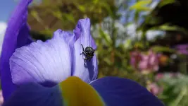 DSCF1792.webp