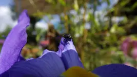 DSCF1793.webp
