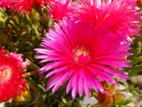 DSCF9320.webp