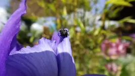 DSCF1794.webp